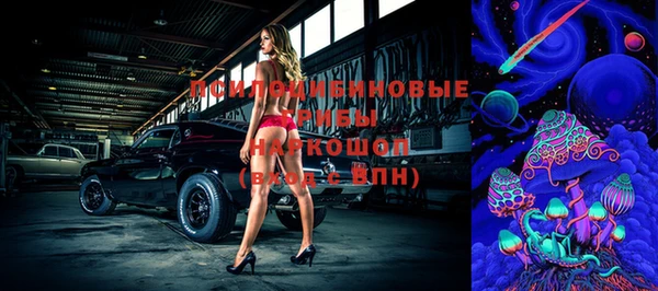 прущие грибы Сосновоборск
