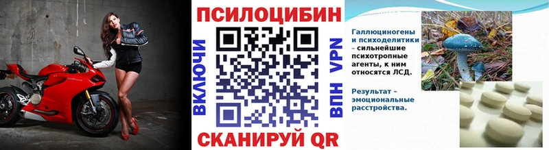 Галлюциногенные грибы Cubensis Чегем